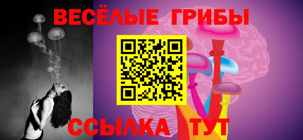 Псилоцибиновые грибы прущие грибы  Вход с VPN  Елец  Псилоцибиновые грибы ЛСД 